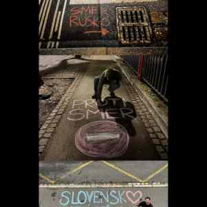 Obrázek 'protismer'