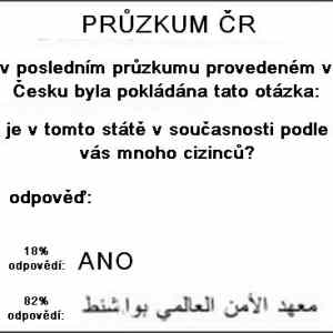 Obrázek 'pruzkum'