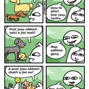Obrázek 'psi'