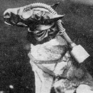 Obrázek 'psi2'