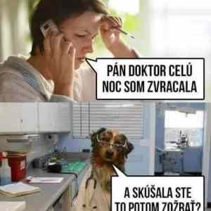 Obrázek 'psi doktor'