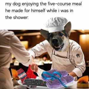 Obrázek 'psi menu'