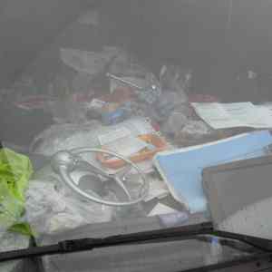 Obrázek 'psmetisko2&nbsp;IMG&nbsp;1075'