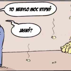 Obrázek 'ptacichripka'