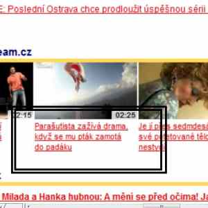 Obrázek 'ptak v padaku'