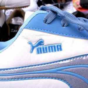 Obrázek 'puma 2'