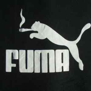 Obrázek 'puma 3'