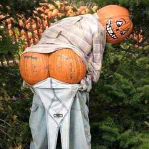 Obrázek 'pumpass'