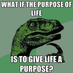 Obrázek 'purpose of life'