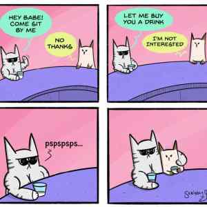 Obrázek 'pussy&nbsp;magnet'