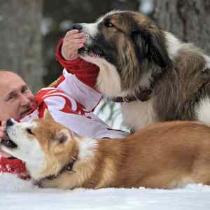 Obrázek 'putin 84'