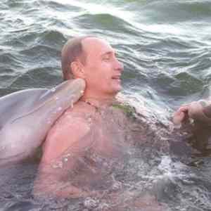Obrázek 'putin na dovolene'