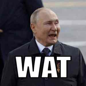 Obrázek 'putin said wat'