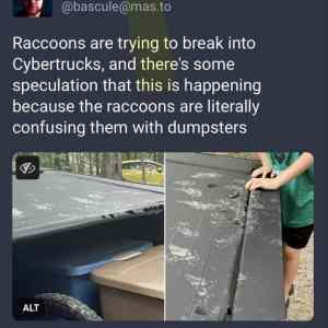 Obrázek 'quality cybershitpost'