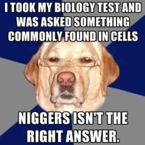 Obrázek 'racist dog again'