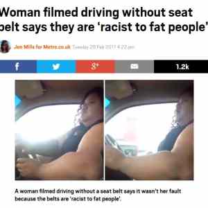 Obrázek 'racist seatbelts'