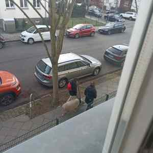 Obrázek 'ranni&nbsp;cardio&nbsp;'