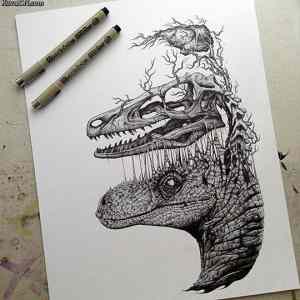 Obrázek 'raptor drawing'