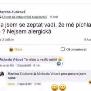 Obrázek 'rasisticka vcela'