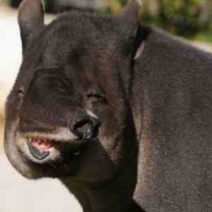 Obrázek 'real&nbsp;or&nbsp;fake'