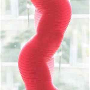 Obrázek 'real women-have curves'