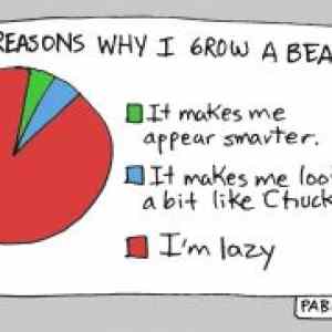 Obrázek 'reasons why i grow a beard'
