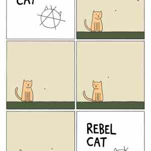 Obrázek 'rebel-cat'