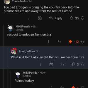 Obrázek 'respect Erdogan from Serbia'