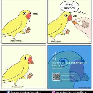 Obrázek 'restart&nbsp;birb'