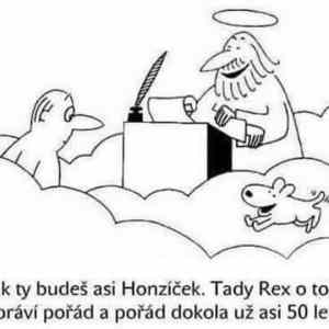Obrázek 'rex vypravi'