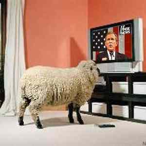 Obrázek 'right-wing sheep'