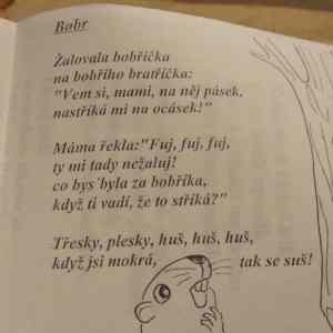 Obrázek 'rikanka1'