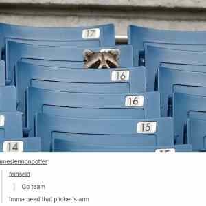 Obrázek 'rocket&nbsp;1'