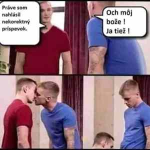 Obrázek 'roman pro libretardy'