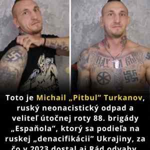 Obrázek 'rossijskyj denacifikator'