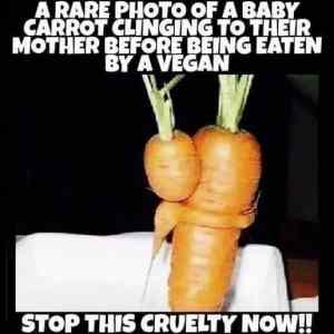 Obrázek 'roumin-picdumb-20190906-24'