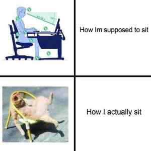 Obrázek 'rouming sitting'