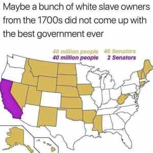 Obrázek 'rovnost hlasu v usa'