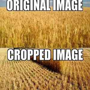 Obrázek 'rozdiel je jasny'