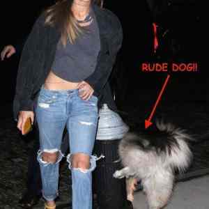 Obrázek 'rude&nbsp;dog'