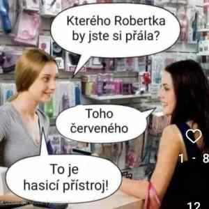 Obrázek 'rudyRobo'