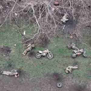 Obrázek 'rusi&nbsp;spi'