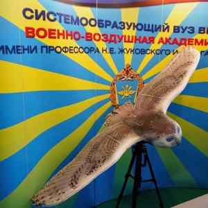 Obrázek 'ruska pruzkumna sova - je i v provedeni orel'