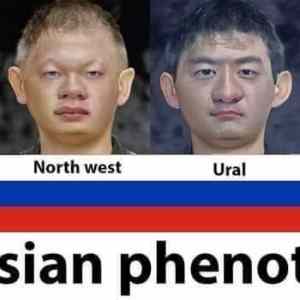 Obrázek 'russian phenotype'
