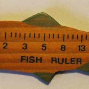 Obrázek 'rybarske pravitko'