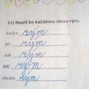 Obrázek 'rym  '