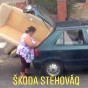 Obrázek 's stehovaq'