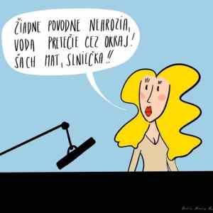 Obrázek 'sach mat slnjecka'