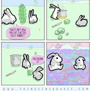 Obrázek 'sajic&nbsp;a&nbsp;kaktus'