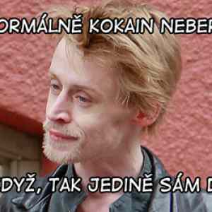 Obrázek 'sam doma'